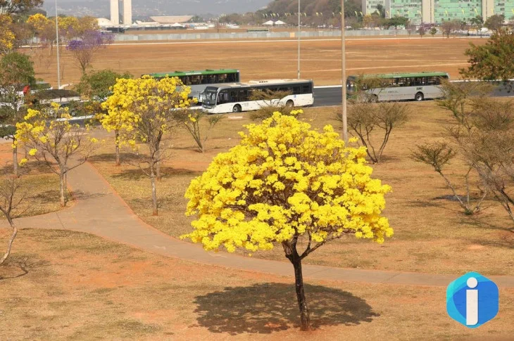 Centro-Oeste tem três alertas ativos para chuvas e baixa umidade