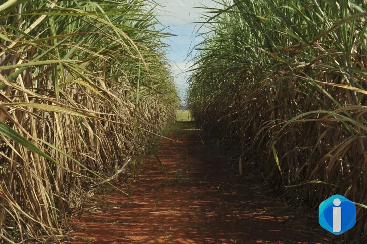 Conselho eleva limite de remuneração do Eco Invest Brasil