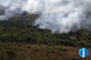 Copernicus: emissão global de gases por incêndios é a menor em 24 anos