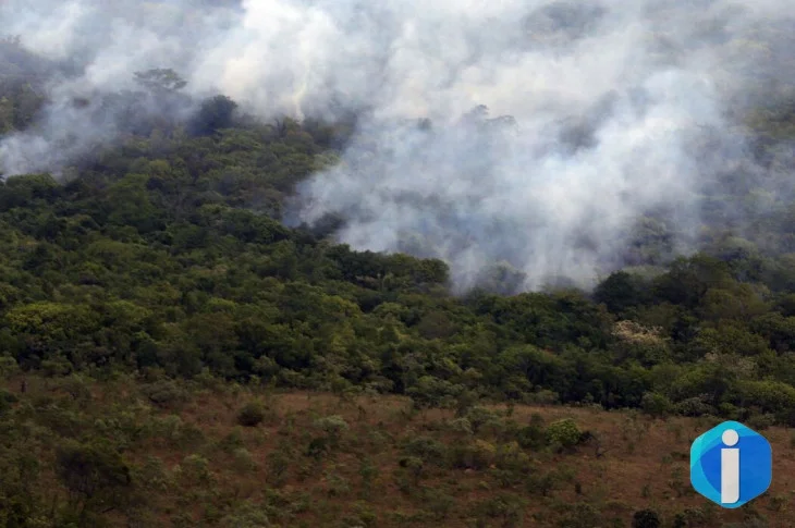 Copernicus: emissão global de gases por incêndios é a menor em 24 anos
