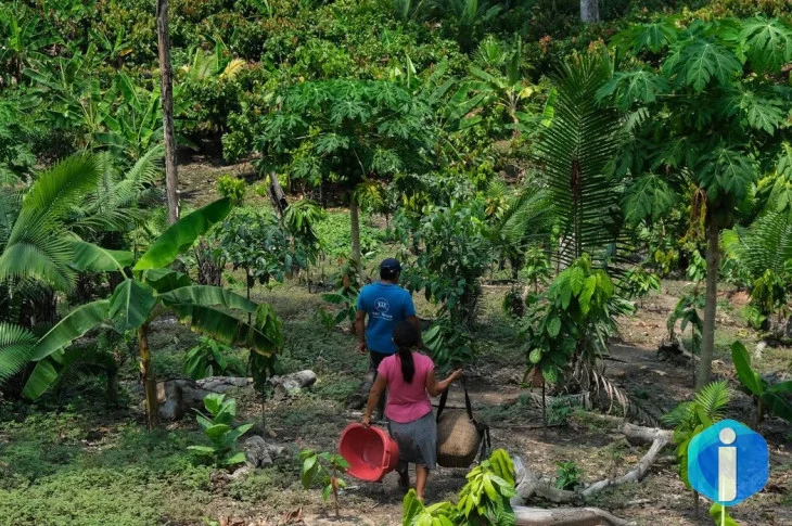 Da Amazônia ao Chaco, América Latina tem desafios com clima e terra