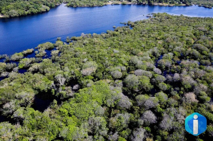 Desmatamento em áreas protegidas da Amazônia e do Cerrado tem queda
