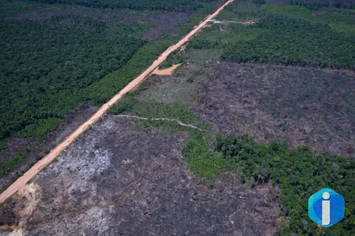Desmatamento na Amazônia cai 36,87% no último ano