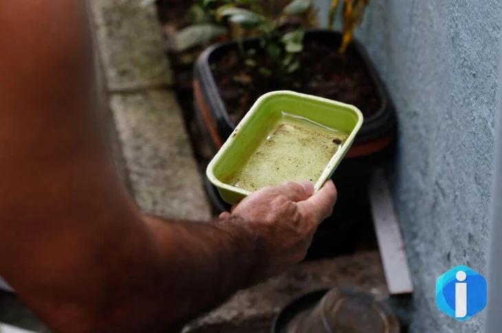 El Niño pode aumentar casos de chikungunya e dengue no Brasil
