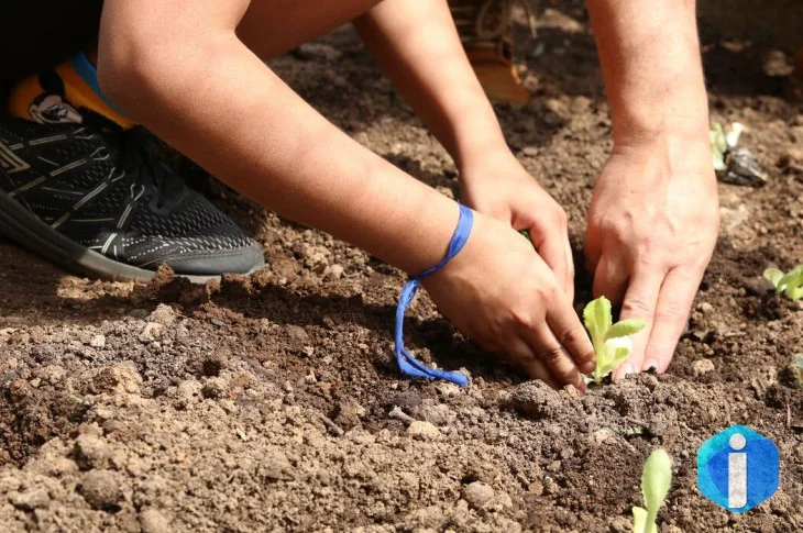 Entidades pedem apoio de candidatos em defesa da agroecologia