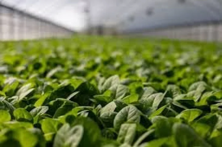 Estado fecha 345 Casas da Agricultura e promove inchaço de cargos comissionados