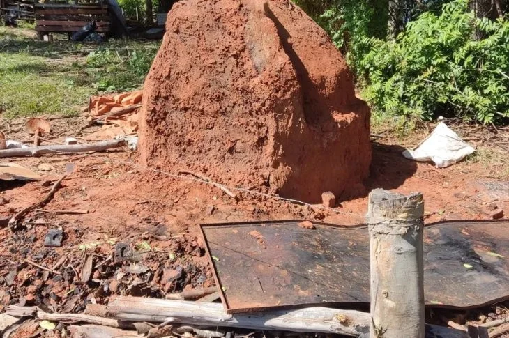 Estoque de 350 quilos de carvão vegetal é apreendido em carvoaria clandestina