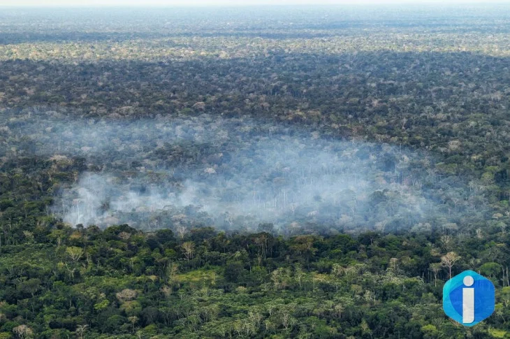 Estudo aponta atividade humana nas emissões de carbono na Amazônia