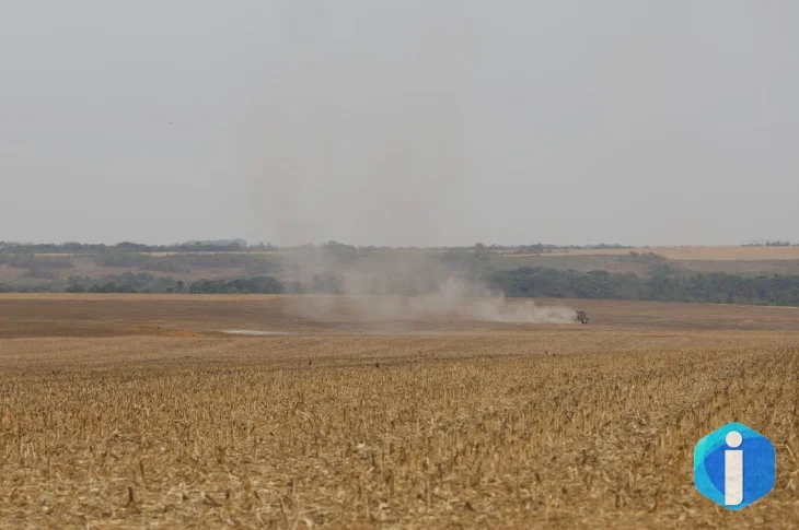Estudo propõe avanços na rastreabilidade ambiental da soja e da carne