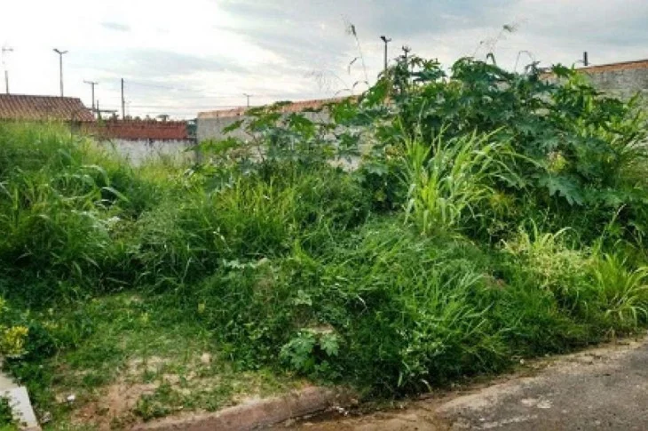 Fiscalização municipal notifica 26 terrenos para limpeza