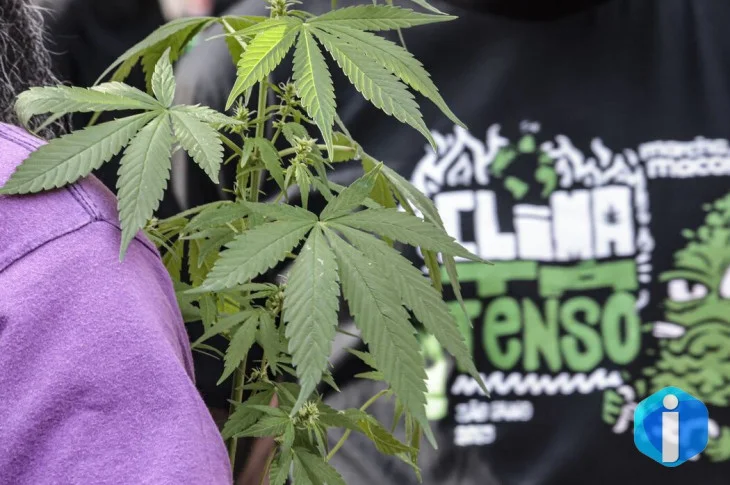 Flagrante por drogas gera mais prisão preventiva do que outros crimes