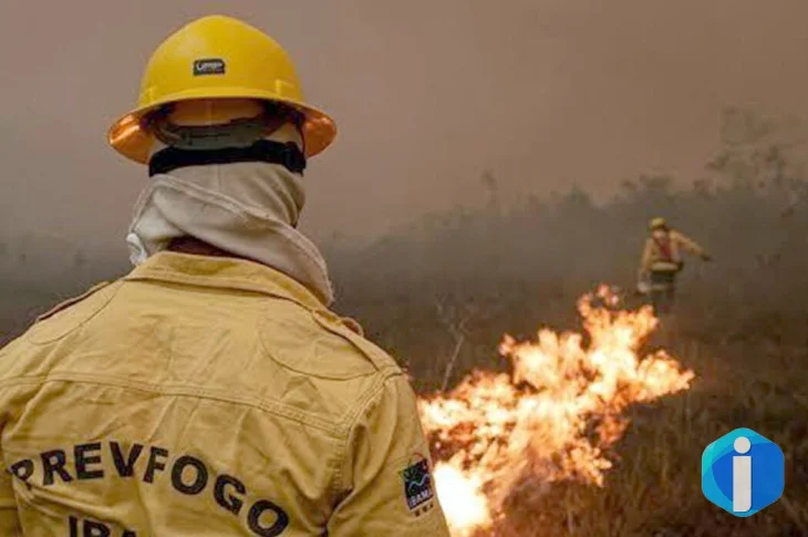 Focos de incêndio no Amazonas diminuem após ação de força-tarefa