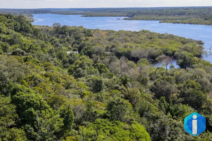 Fundo Amazônia quadruplica ritmo anual de aprovações desde 2023