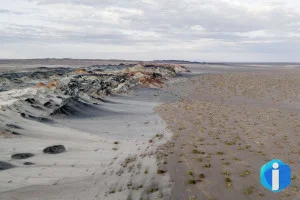 Fungos podem restaurar terras degradadas e combater crise climática