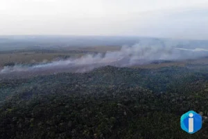 Governo intensifica reforços para combater incêndios no Pará
