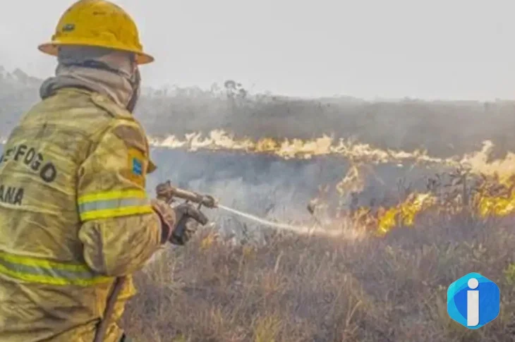 Governo investiga se há organização por trás dos incêndios no Amazonas
