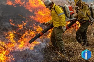 Governo repassa R$ 337 milhões para combate a incêndios e desmatamento