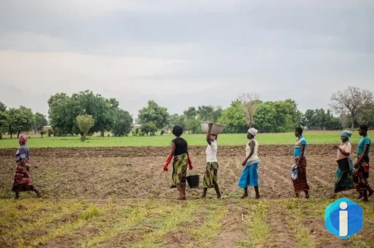 Grande Muralha Verde restaura 1,66 milhão de hectares na África