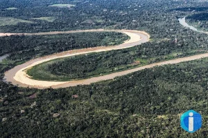 Holanda anuncia US$ 500 milhões em fundo florestal criado pelo Brasil