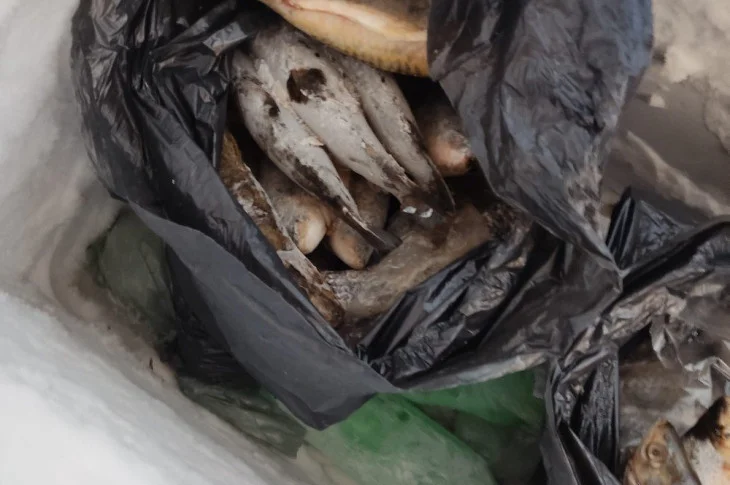 Homem é autuado em R$ 2,4 mil pela venda irregular de peixes