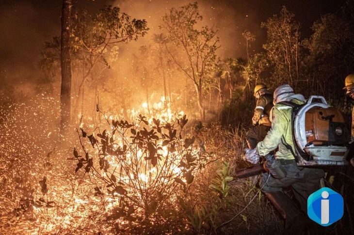 Ibama extinguiu 229 incêndios no Amazonas
