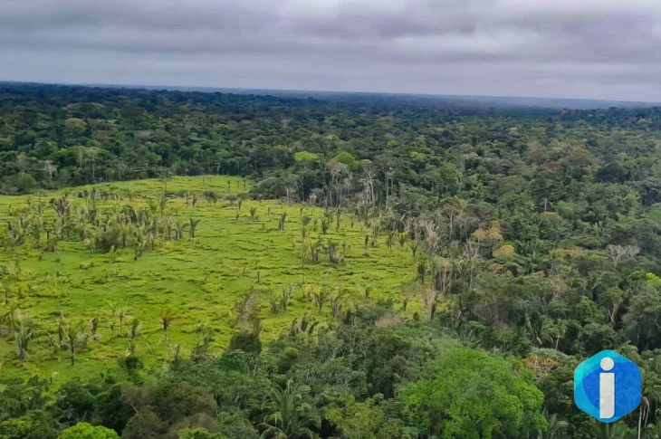 Imazon aponta desmatamento zero em 60% de terras indígenas na Amazônia