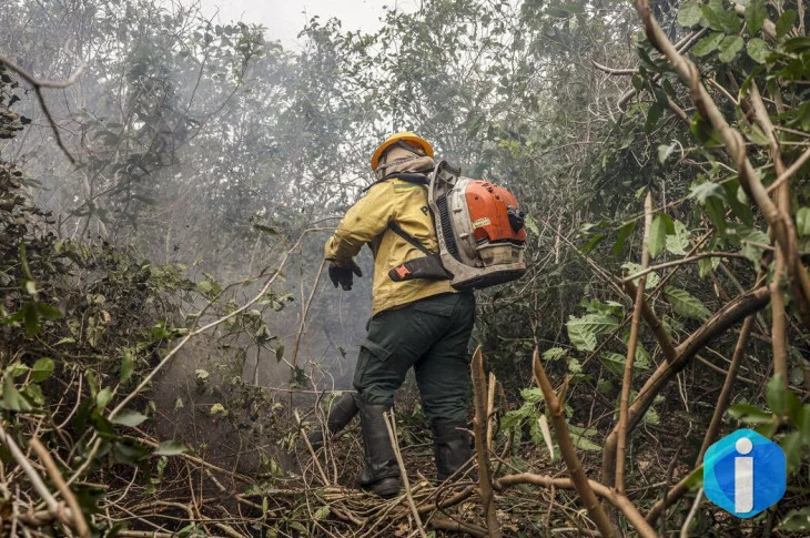 Incêdios no Amazonas resultam de ação humana intencional, diz ministro