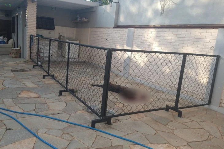 Justiça mantém preso homem que matou o próprio cachorro com tiro de pistola: 'comportamento violento e injustificável'