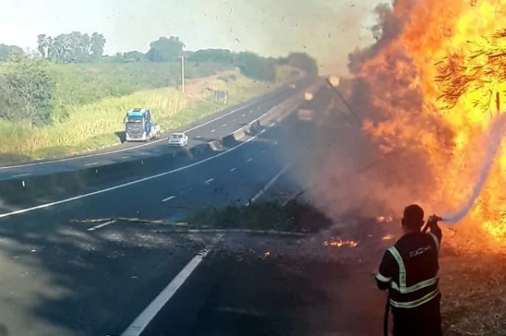 Levantamento registra 350 focos de incêndio em apenas seis meses