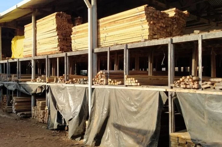 Madeireira é autuada em mais de R$ 70 mil por venda irregular de madeira serrada em Presidente Epitácio