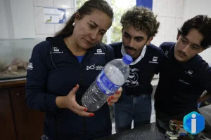 Mais de 93% dos peixes vendidos no litoral do Paraná têm microplástico