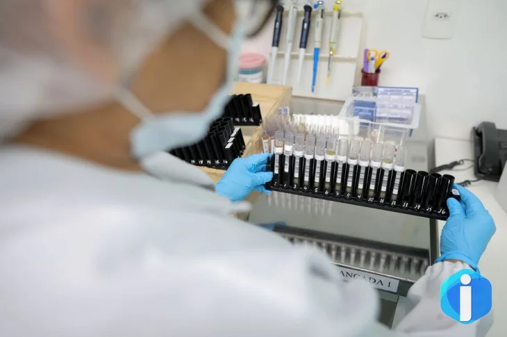 Malária: Anvisa autoriza teste em humanos de vacina 100% brasileira