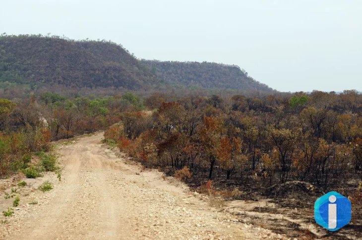 Mapbiomas: menor vegetação nativa expõe mais o país ao El Niño
