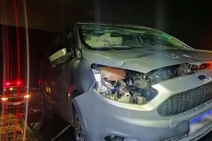Motorista embriagada capota veículo na Rodovia Assis Chateaubriand