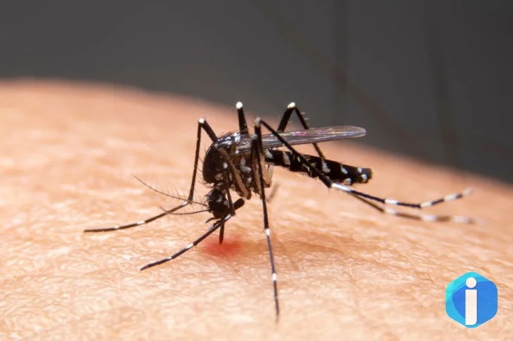 Mudanças climáticas já causam aumento de doenças infecciosas no país