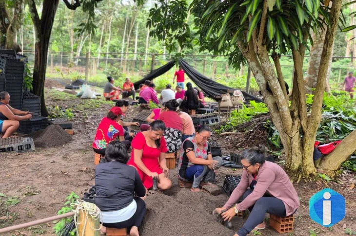 Mulheres da Amazônia se unem para enfrentar as mudanças climáticas