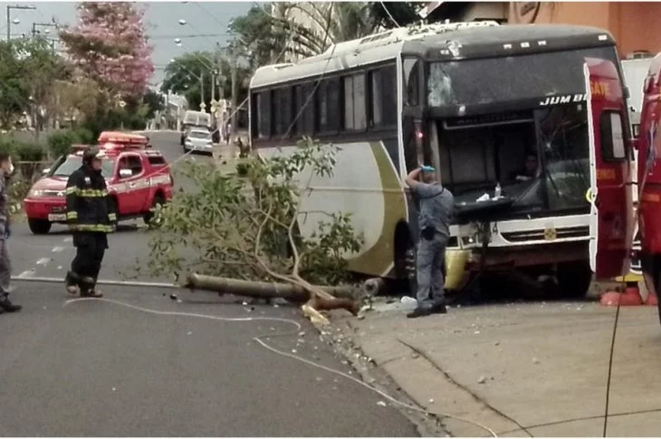 Ônibus desgovernado atinge rede elétrica, derruba árvores e invade posto de combustíveis em Presidente Prudente