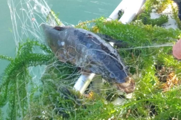 Polícia Ambiental de Bataguassu fiscaliza 11 embarcações e 18 pescadores