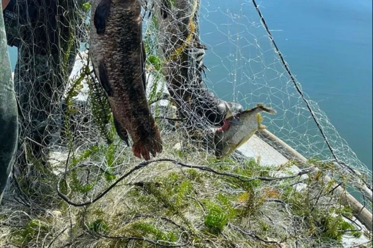 Polícia Ambiental recolhe 900 metros de redes sem identificação e solta no Rio Paraná 55kg de peixes que estavam presos nas malhas