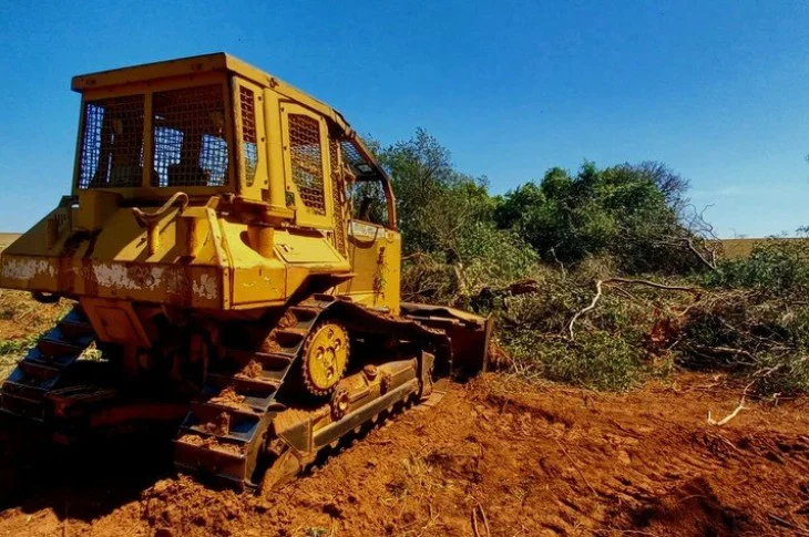 Polícia autua fazenda em R$ 95,3 mil após flagrar supressão de 166 árvores nativas e degradação ambiental em Marabá Paulista