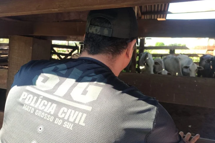 Polícia Cívil recupera 17 cabeças de gado furtadas em Bataguassu (MS)