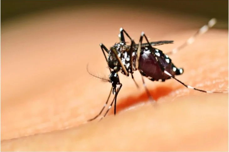 Prefeitura de Presidente Venceslau promove novo arrastão contra a dengue para descarte de materiais inservíveis