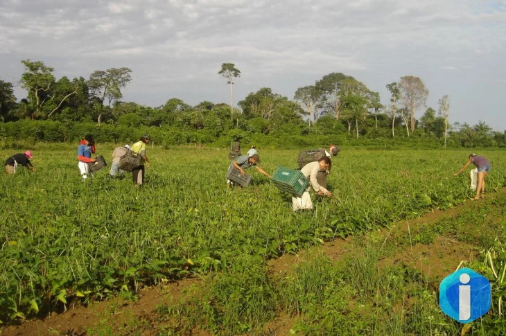 Prêmio para produção acadêmica destaca agricultura familiar