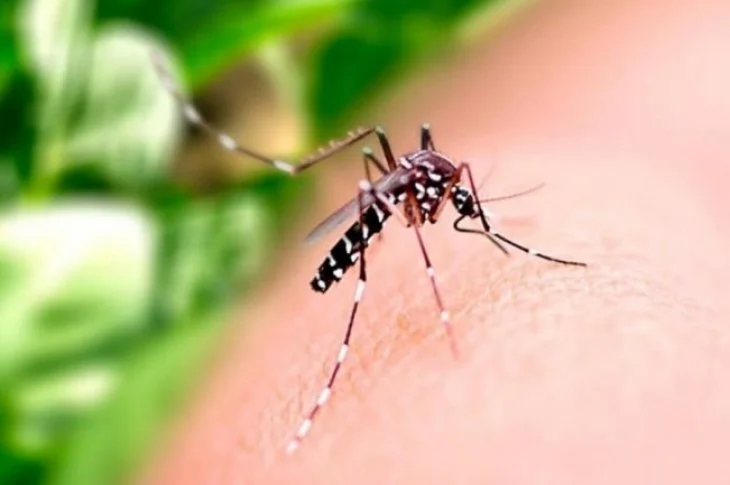 Presidente Epitácio registra 84 casos positivos de dengue 