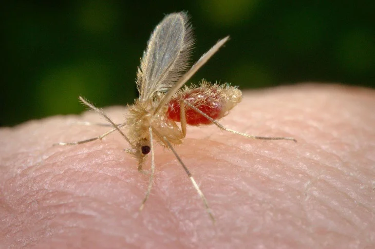 Presidente Venceslau confirma a segunda morte causada pela dengue em 2022