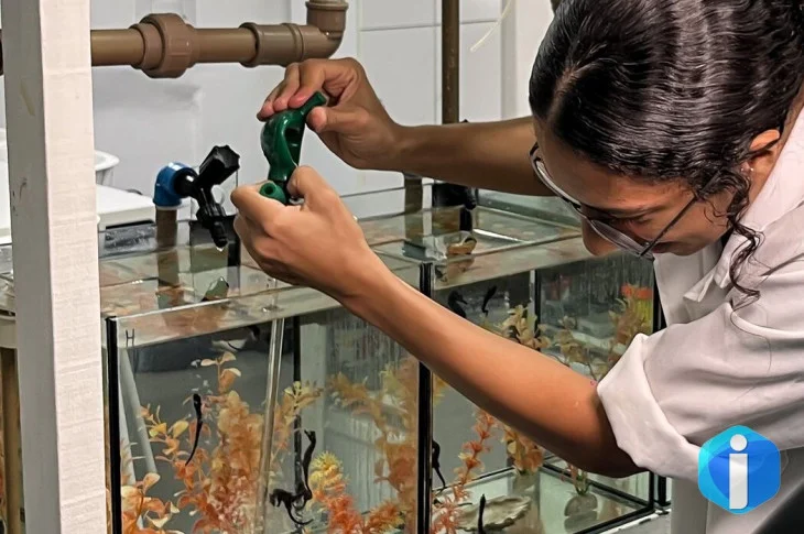 Projeto abre espaço para público conhecer habitat dos cavalos marinhos