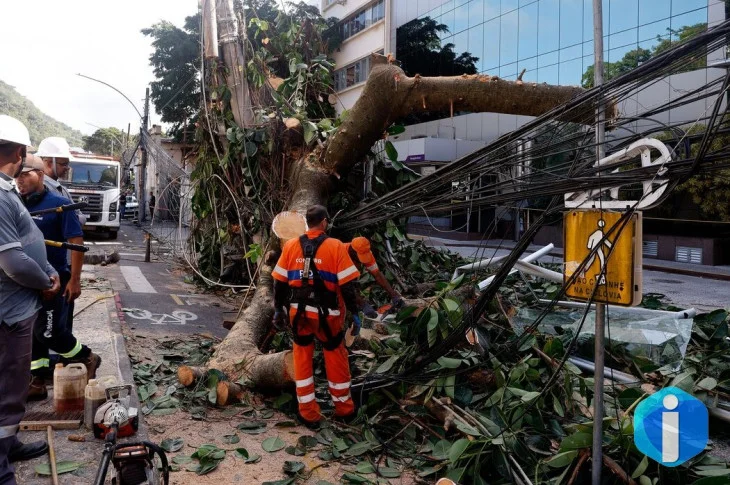 Rede elétrica mais resiliente requer investimento de concessionárias