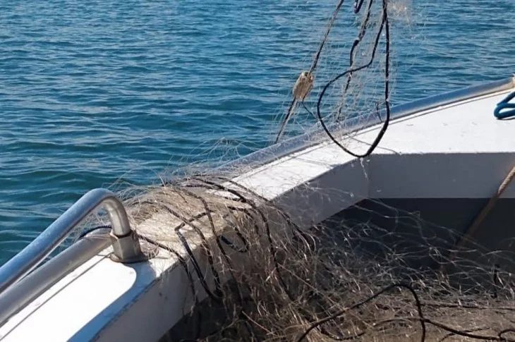 Redes armadas irregularmente na foz do Rio do Peixe são apreendidas em Presidente Epitácio