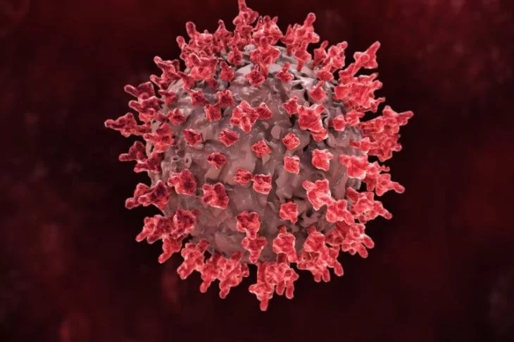Região soma 78,7 mil casos de Covid-19 desde início da pandemia