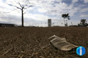 Região Sul tem risco de temporal e granizo; outras regiões têm calor